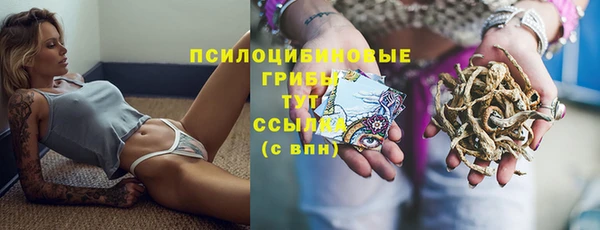 spice Волосово
